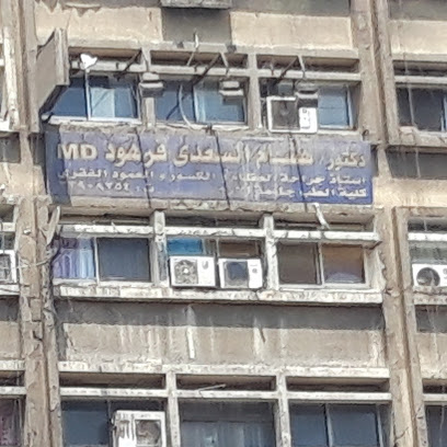 Hesham El-Sady Frhwd