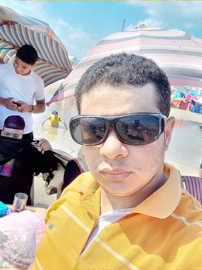 محمد محمود سيد