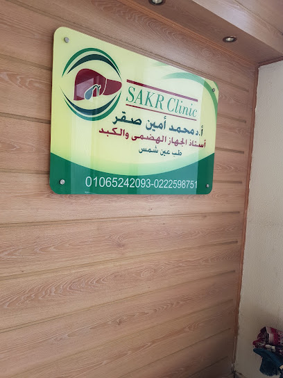محمد آمين صقر