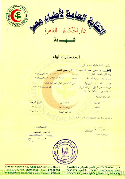 أيمن النمر