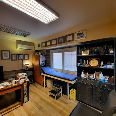 تيمور فكرى الحسينى
