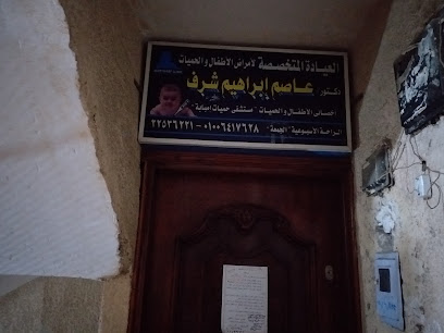 Assem Ibrahim Shrf