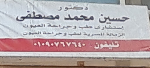 Hussein Mohamed Mostafa