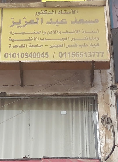 الأستاذ الدكتورمسعد عبد العزيز