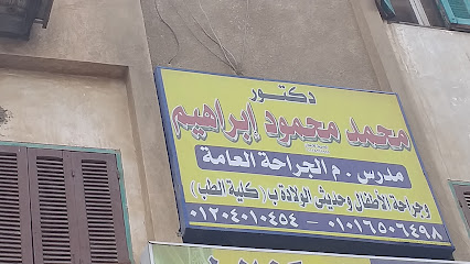 Mohamed Mahmoud Ibrahim