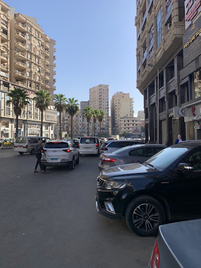Mohamed Samir Abdelshafy