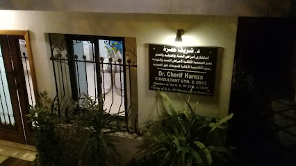 cherif Hamza