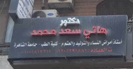 Hany Saad Mohamed