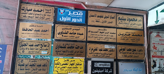 Mohamed Abdelghany Mrad