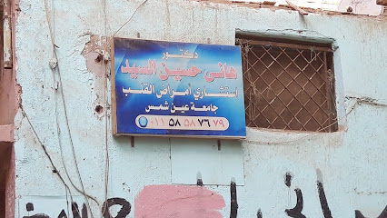 Hany Hussein El-Sayed
