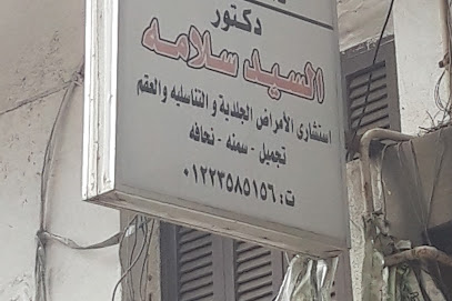 السيد سلامه