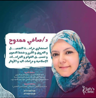 Safy Mamdouh Abdelwahab