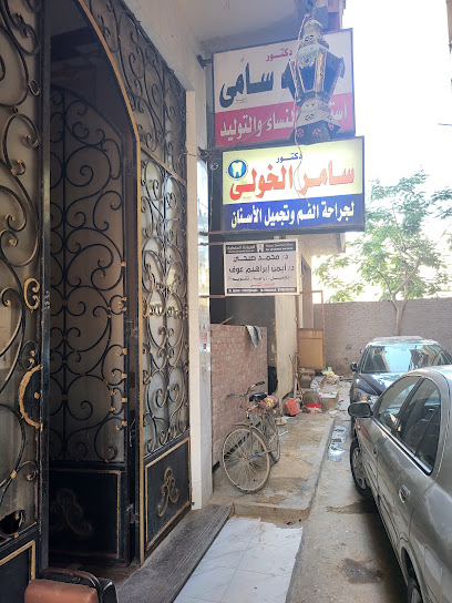سامر الخولي