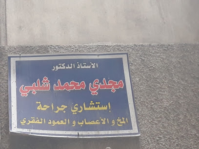 مجدي محمد شلبي
