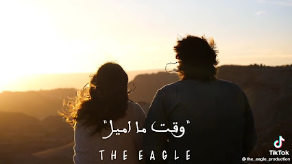 Tarek Shahin Lldam