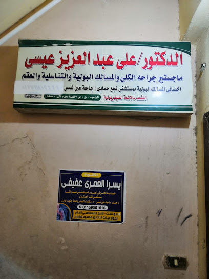 Ali Abdelaziz Aysy