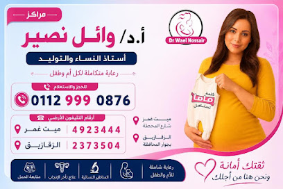 وائل نصير