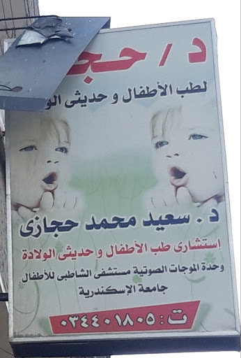 سعيد محمد حجازى