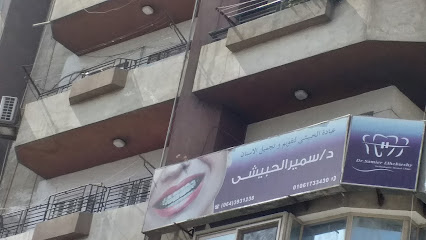 سمير الحبيشى