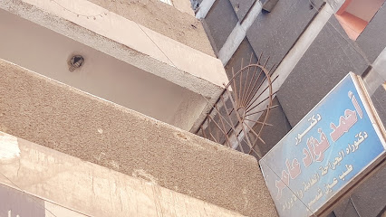 أحمد فؤاد عامر