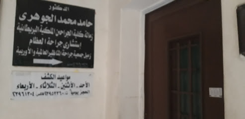 Hamd Mohamed El-Gwhry