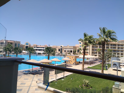 محب موسى