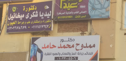 ليديا شكرى ميخائيل