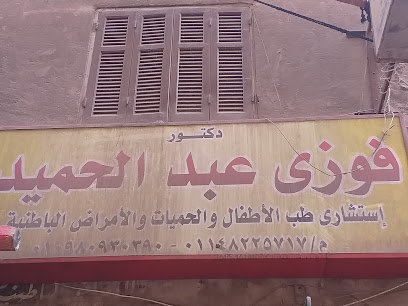 Fawzy Abdelhamid
