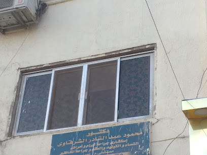 محمود عبد القادر الشرقاوى