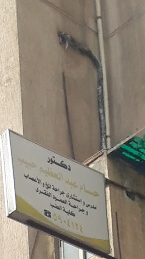 Hsam Abdelazym Hbyb