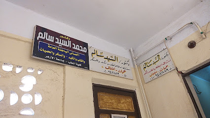 محمد السيد سالم