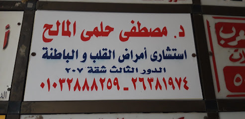 مصطفي حلمى المالح