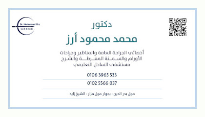 محمد محمود ارز