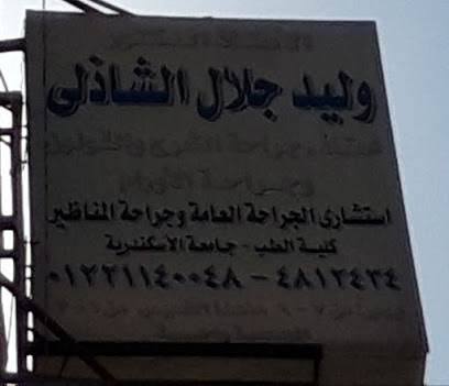 Walid Glal El-Shazly