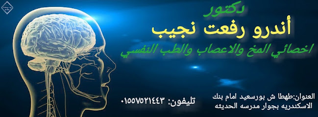 اندرو رفعت نجيب