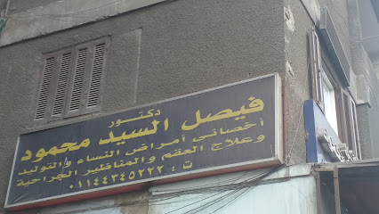 فيصل السيد محمود