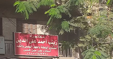 زينب أحمد على الدين