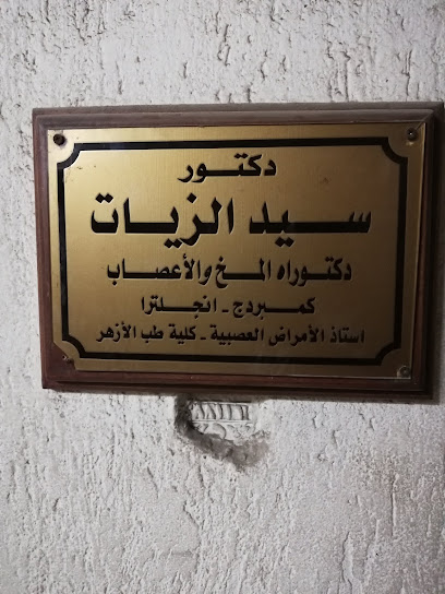 Sayed El-Zyat