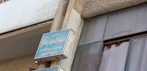 سليم السيد عامر