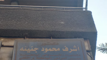 Ashraf Mahmoud Gnynh