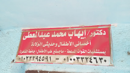 Ayhab Mohamed Abdelmoaty