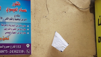 عصام العيسوي