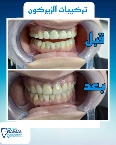 Gamal Mohamed Farwk