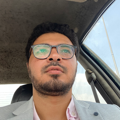 Amr Hassan