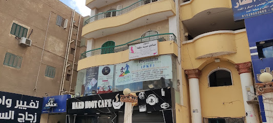 سامر سيد طه