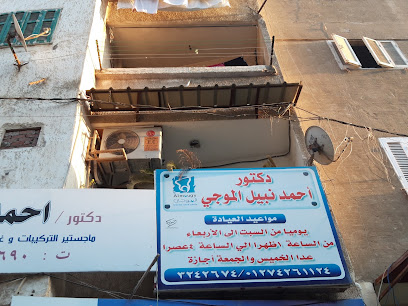 أحمد نبيل الموجي