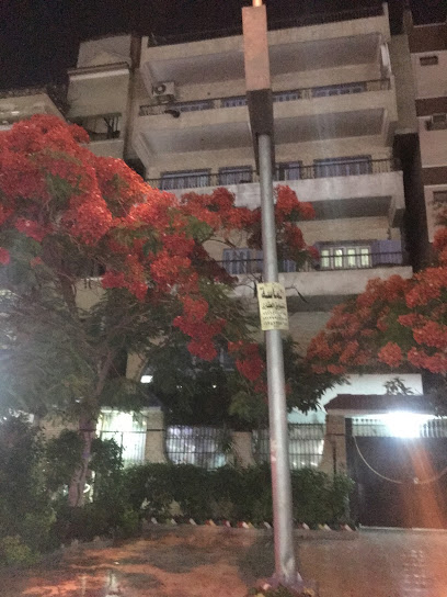 نجاة الشاعر