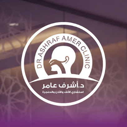 أشرف عامر