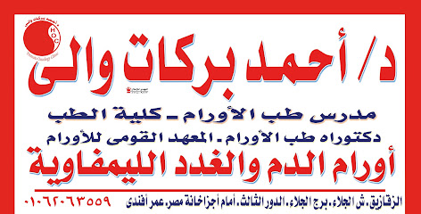 Ahmed Brkat Waly