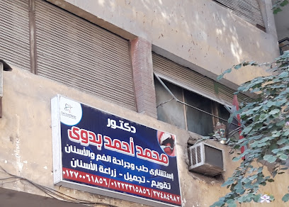محمد أحمد بدوى
